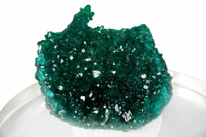 Sparkling Dioptase Epimorph - N'tola Mine, Congo #256929